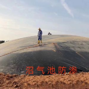 沼氣池防滲工程