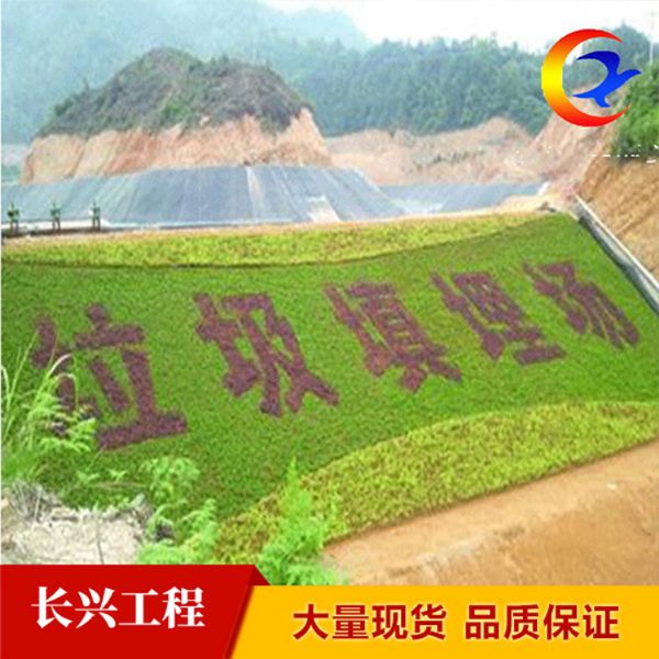 垃圾填埋場(chǎng)城建標(biāo)椎2.0mm土工膜