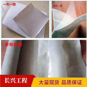 各種型號 復(fù)合土工膜  歡迎前來咨詢