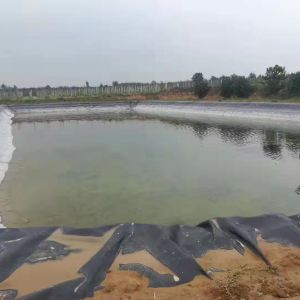 長(zhǎng)興牌土工膜完工現(xiàn)場(chǎng)